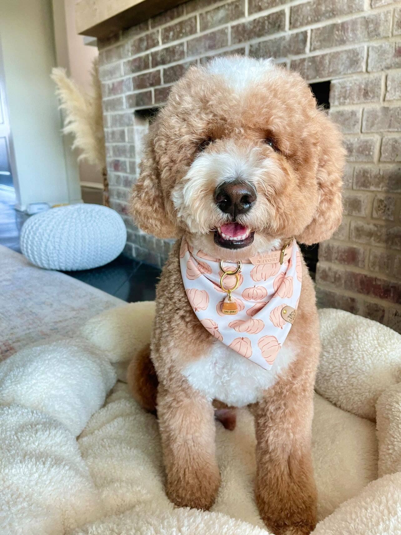Prettiest in the Patch Bandana