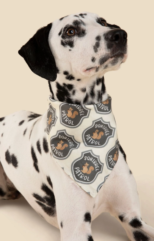 Squirrel Patrol Bandana