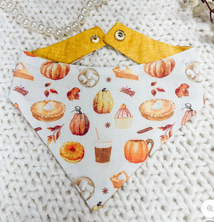 Sweater Weather Reversible Bandana