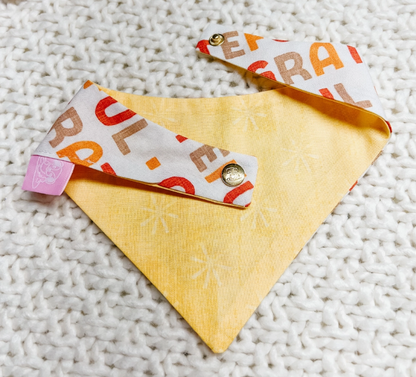 Grateful Reversible Bandana