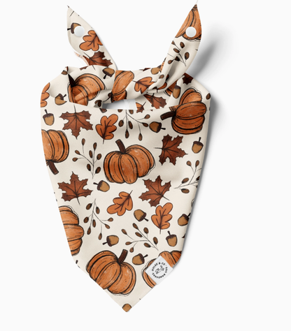 Autumn Stroll Bandana