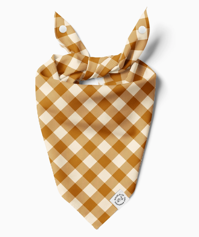 Harvest Hound Plaid Bandana