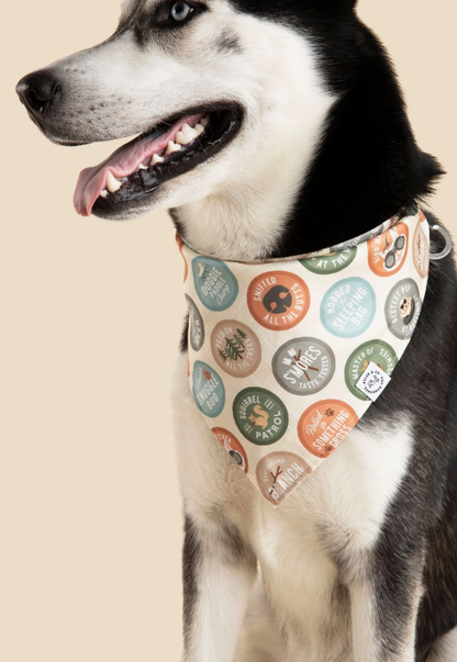 Pup Scout Bandana