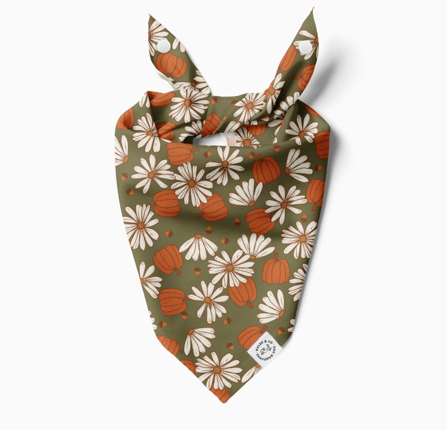 Pumpkin and Petals Bandana