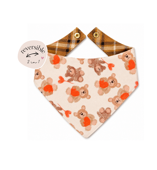 Teddy Weather Reversible Bandana