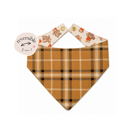 Teddy Weather Reversible Bandana