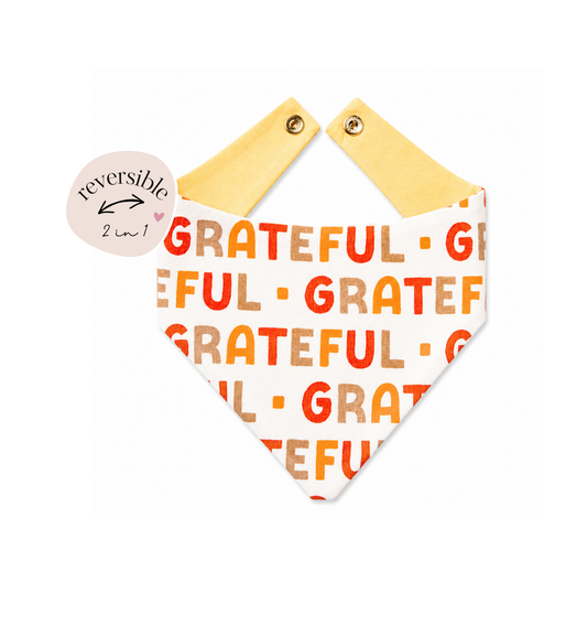 Grateful Reversible Bandana