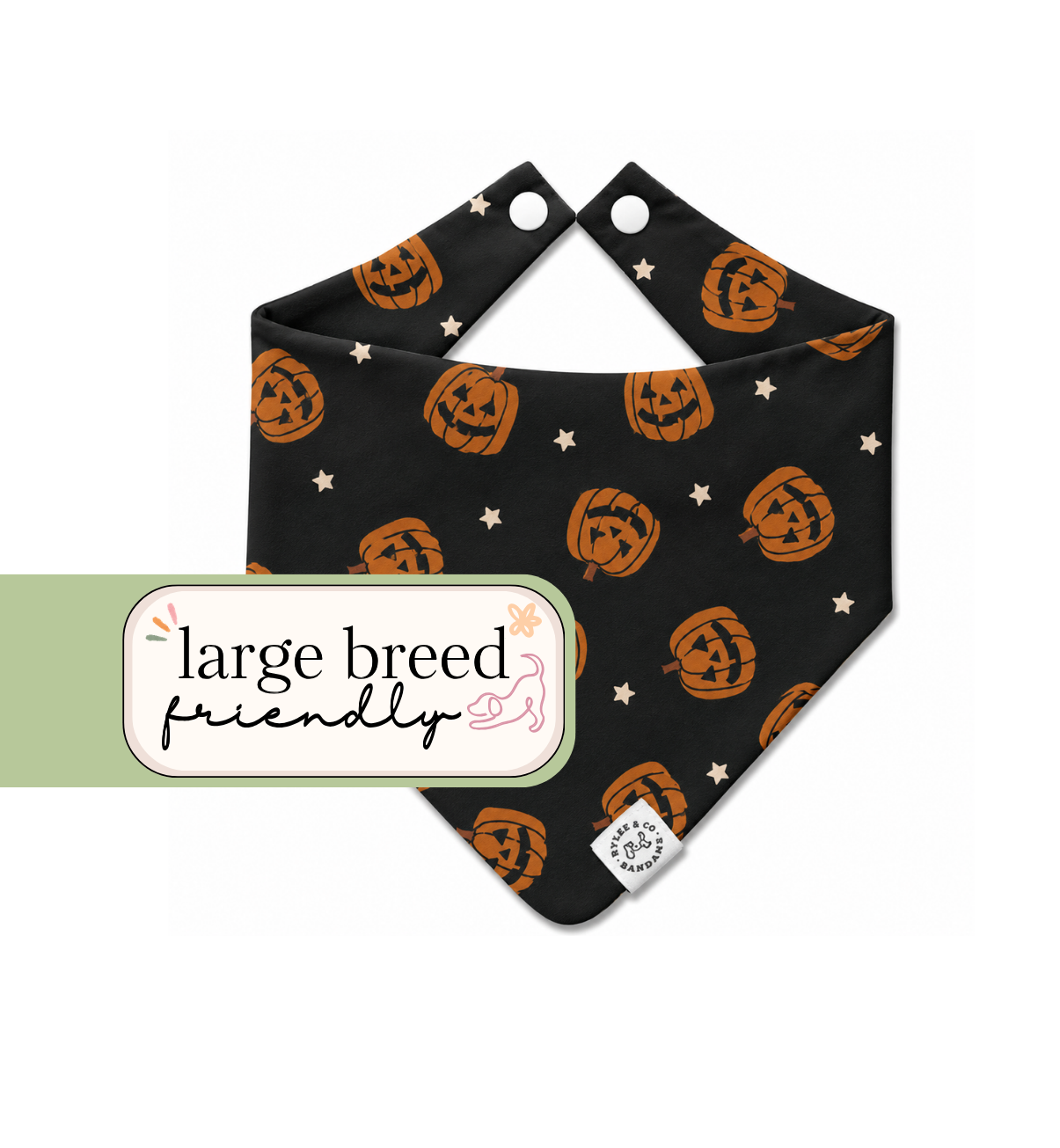 After Dark Pumpkin Bandana