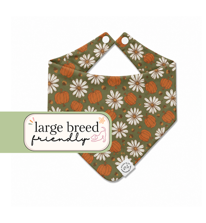Pumpkin and Petals Bandana